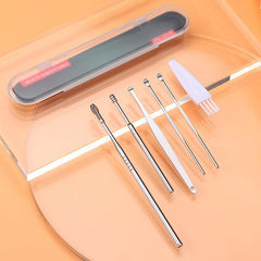Stainless Steel Ear Wax Remover Kit with Brush & Storage Box