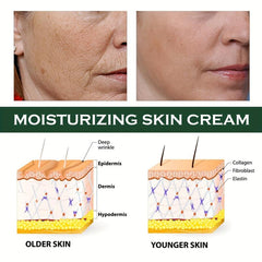 65g Moisturizing Face Cream - Smooth Fine Lines - Rejuvenating Hydrating