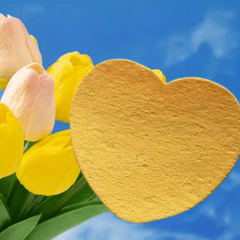 Wood Pulp Fiber Facial Sponge Heart Makeup Remover Puff