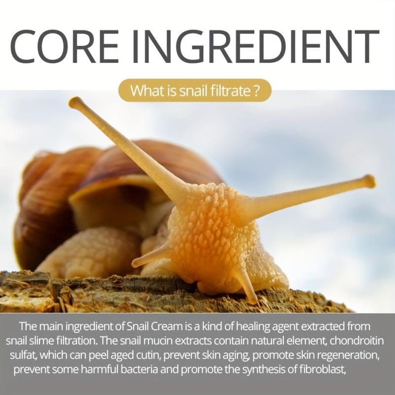 50g Snail Cream Shea Butter Hydrating Skin Barrier Korea Skin Care Cream