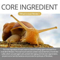 50g Snail Cream Shea Butter Hydrating Skin Barrier Korea Skin Care Cream