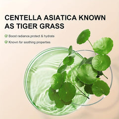 Centella Asiatica CC Cream Moisturizing Long Lasting Makeup Concealer