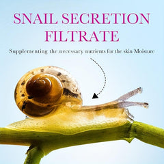 Snail Collagen Face Cream 300g Hydrating Firming Skin