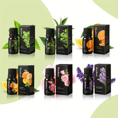 6pcs 10ml Essential Oil Set - Rose Mint Lavender Orange
