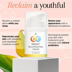 Night Moisturizer 30ML Vitamin C E Hyaluronic Acid