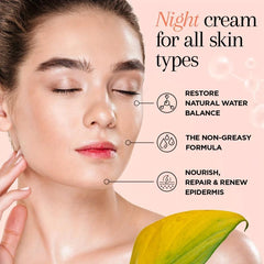 Night Moisturizer 30ML Vitamin C E Hyaluronic Acid