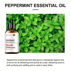 100ml Organic Peppermint Essential Oil for Skin Care Massage Aromatherapy
