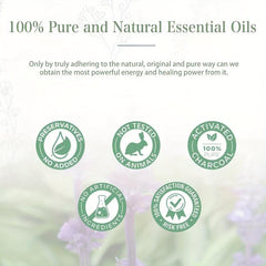 100ml Bergamot Essential Oil with Glass Dropper for Aromatherapy