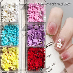 Macaron 3D Flower Nail Art Set