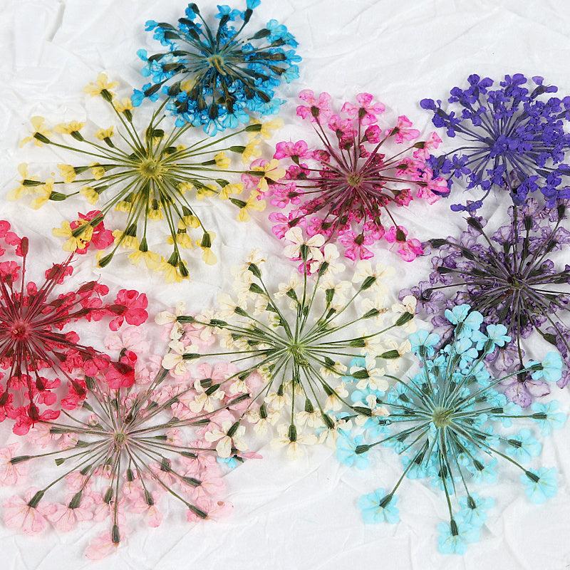 Floral Nail Rhinestones for 3D Flower Nail Art