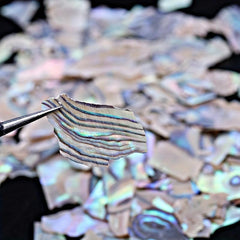 3D Abalone Shell Nail Art Decoration with Sequins Decal