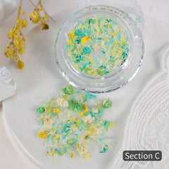 Dried Flowers Nail Art Decoration Accessories Home Salon DIY Manicure