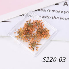 Mixed Shape 3D Dried Flower Nail Art Charms