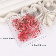 Mixed Shape 3D Dried Flower Nail Art Charms