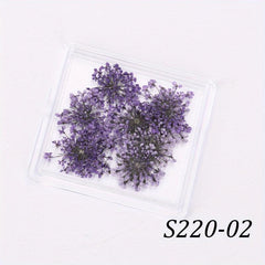 Mixed Shape 3D Dried Flower Nail Art Charms