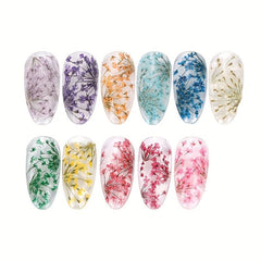 Mixed Shape 3D Dried Flower Nail Art Charms