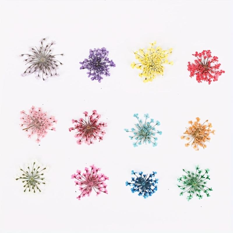 Mixed Shape 3D Dried Flower Nail Art Charms