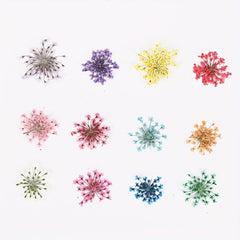 Mixed Shape 3D Dried Flower Nail Art Charms