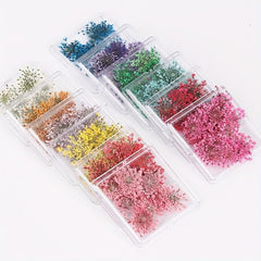 Mixed Shape 3D Dried Flower Nail Art Charms