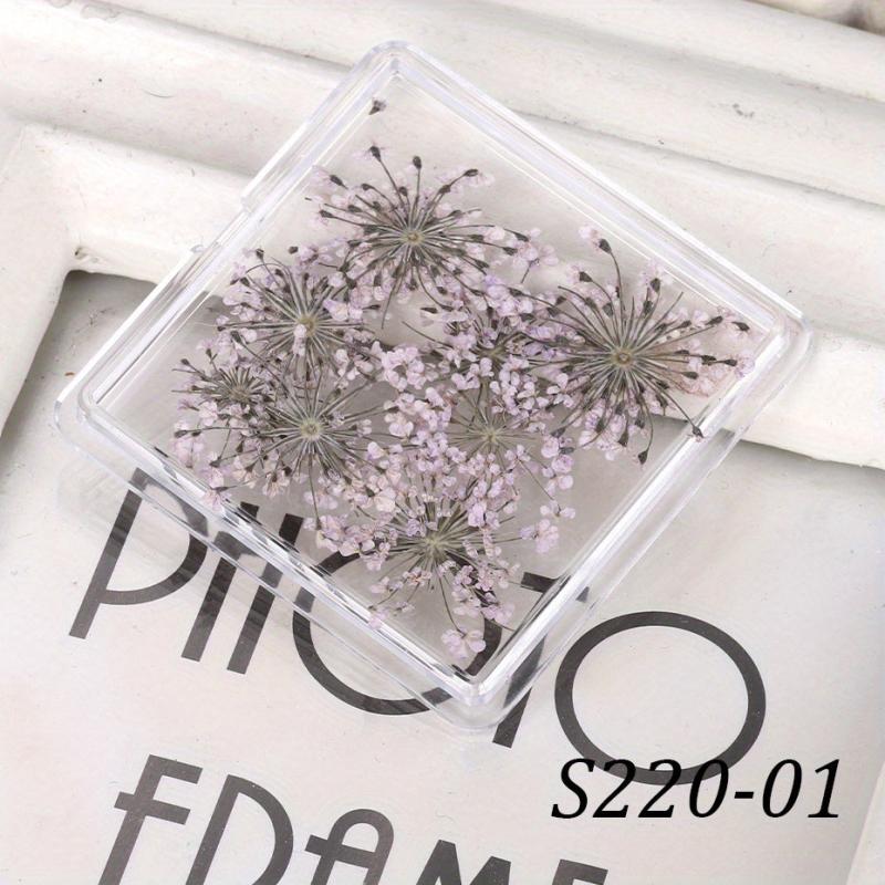 Mixed Shape 3D Dried Flower Nail Art Charms