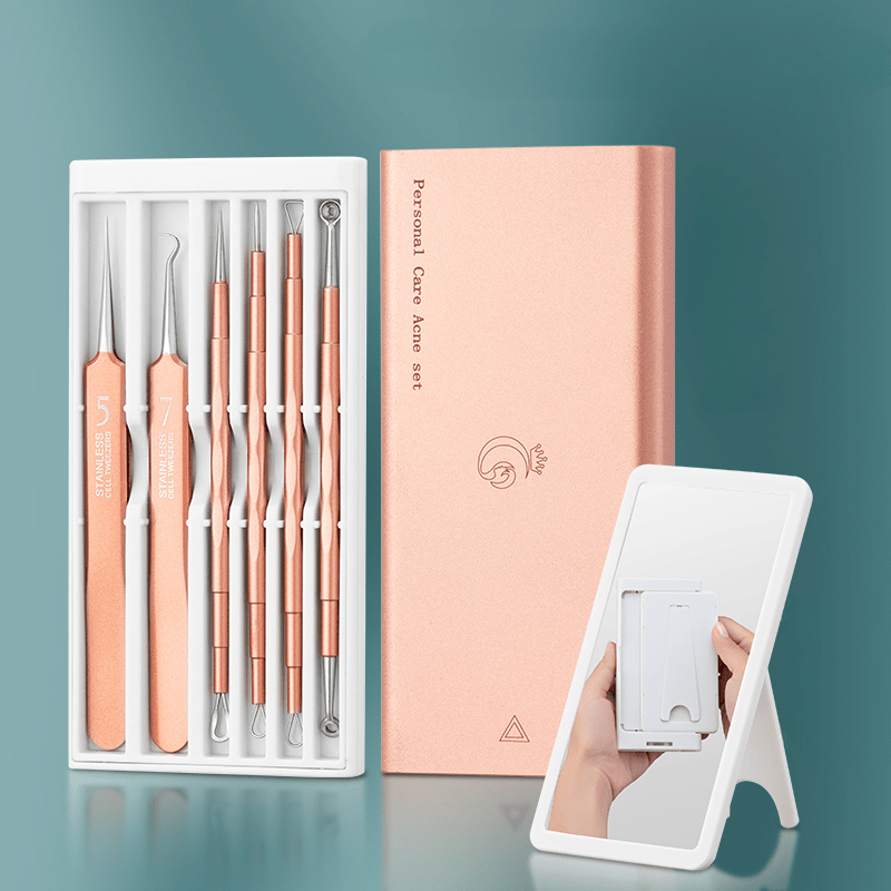 6pcs Blackhead Remover Kit, Stainless Steel, Portable Case, Remove Pimples Acne