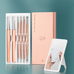 6pcs Blackhead Remover Kit, Stainless Steel, Portable Case, Remove Pimples Acne
