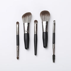 5 pcs Portable Mini Makeup Brush Set for Eyes, Face, and Lips
