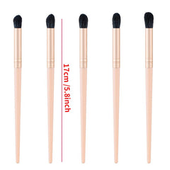 5 Pcs Eyeshadow Makeup Brushes Set for Beginners