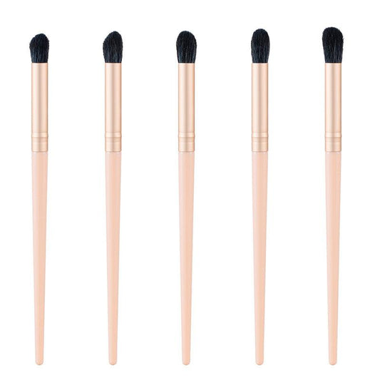 5 Pcs Eyeshadow Makeup Brushes Set for Beginners