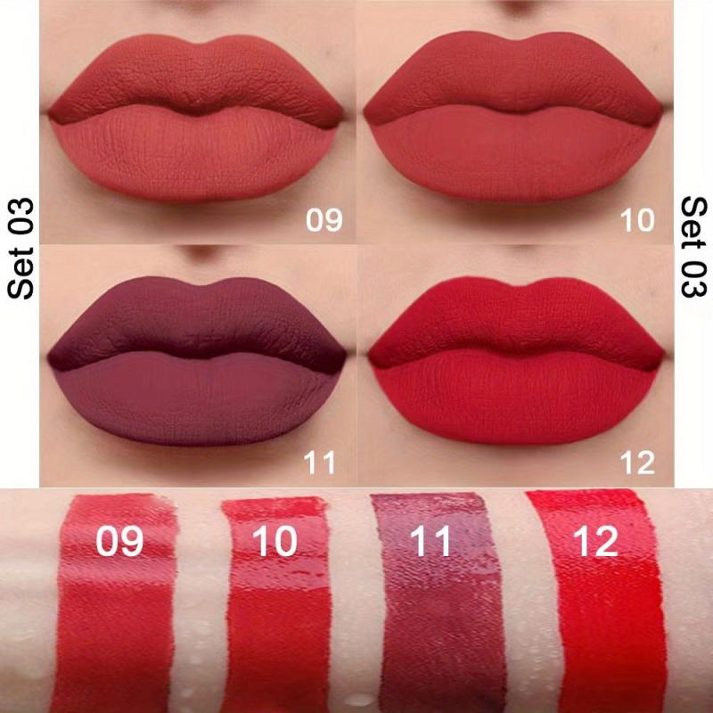 4 pcs Mini Smoke Pipe Lipstick Set for Women in Pink Rose and Mauve Shades