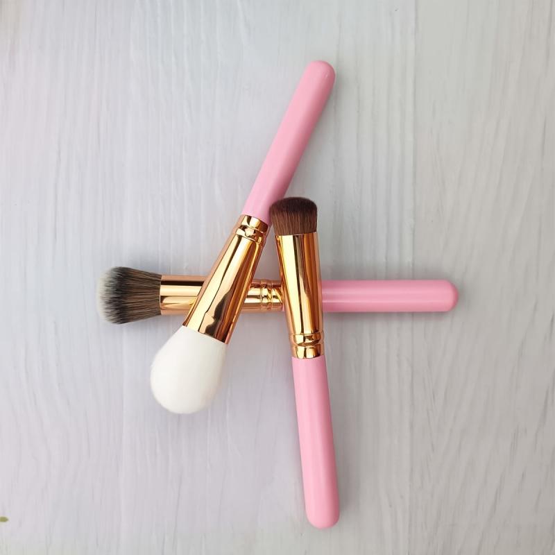 3pcs Mini Makeup Brush Set For Foundation Blush Powder Contour