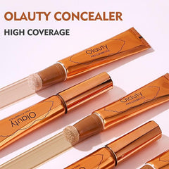 Moisturizing Air Cushion Concealer Waterproof Makeup Liquid Concealer