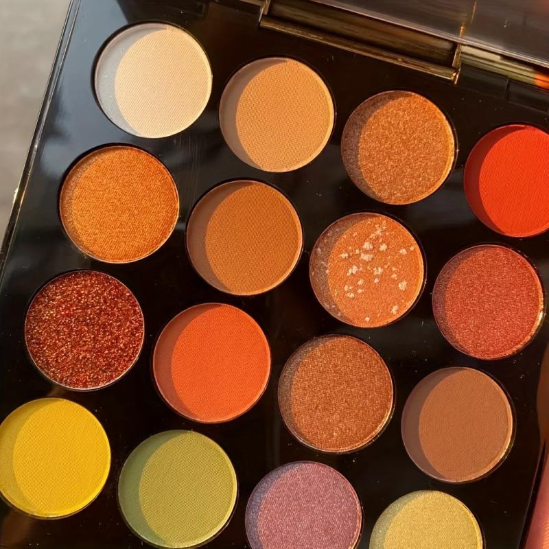 Retro 16 Eyeshadow Palette Matte Pearly Nude Blush All in one Makeup Palette