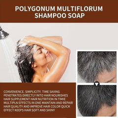 100g Polygonum Multiflorum Hair Shampoo Bar Darkens Hair