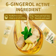 Ginger Shampoo with Vitamin E - Moisturizing & Repairing Hair Care