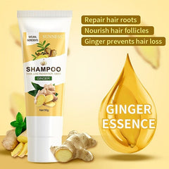 Ginger Shampoo with Vitamin E - Moisturizing & Repairing Hair Care