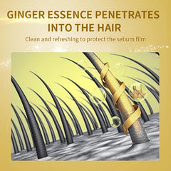 Ginger Shampoo with Vitamin E - Moisturizing & Repairing Hair Care