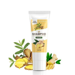 Ginger Shampoo with Vitamin E - Moisturizing & Repairing Hair Care