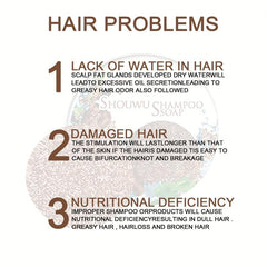 Organic He Shou Wu Shampoo Soap Bar for Darkening Hair