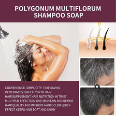 He Shou Wu Extract Shampoo Soap for Gray Hair - Darkening and Nourishing Hair