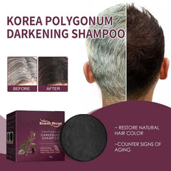Organic Hair Darkening Shampoo Bar - Repairs Gray Hair, Volumizes and Conditions