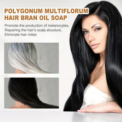 Polygonum Multiflorum Shampoo Soap Moisturizing Hair