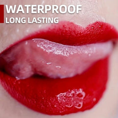 Waterproof Lipstick Long Lasting Lip Plumper Lip Tint