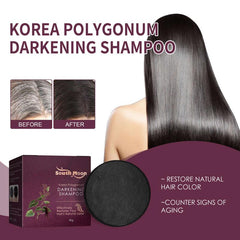 Polygonum Multiflorum Shampoo Bar for Hair Strengthening