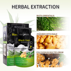 Herbal Long-Lasting Hair Dye Shampoo Cream