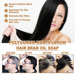 Polygonum Multiflorum Shampoo Bar Moisturizes Hair Naturally