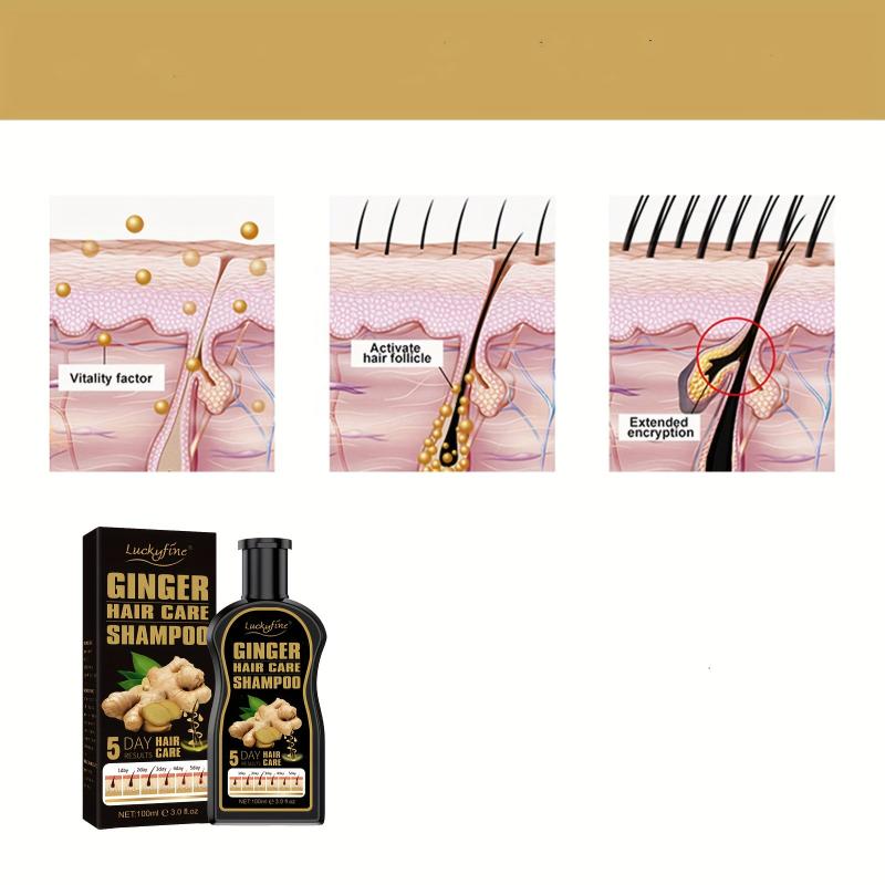 Ginger Hair Care Shampoo Clean Scalp Control Moisturizing Shampoo