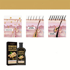 Ginger Hair Care Shampoo Clean Scalp Control Moisturizing Shampoo