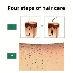 Ginger Plant Extract Hair Care Essential Serum