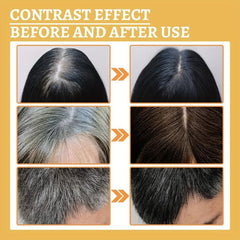 Natural Ganoderma Hair Darkening Serum
